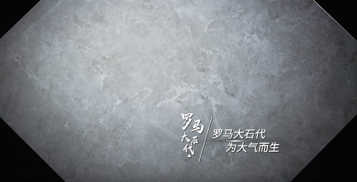 20190305114946781 20190305114946781