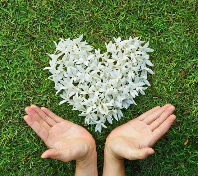 人生就是博公益